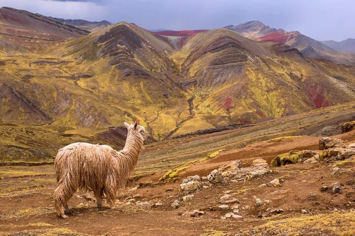 Palcoyo Mountain Hike: Full-Day Private Trek from Cusco