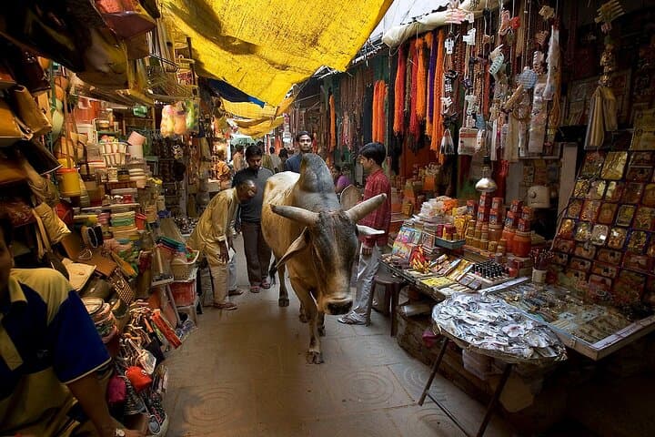 Varanasi Foodie Walk: Street Eats, Ghats & Banarasi Sweets photo 2