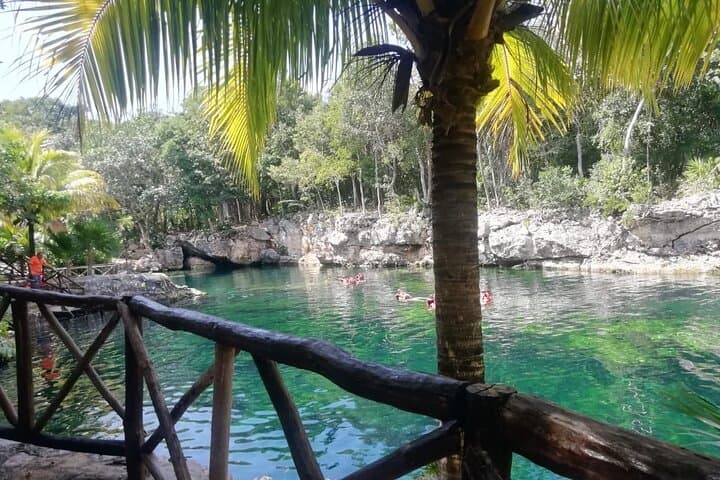 Cenote Express — Tulum Cenotes Swim & Snorkel Tour photo 6