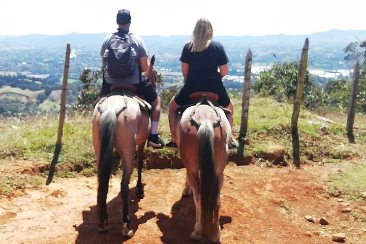 Horseback Ride and Food Tour in Medellin's Andes photo 2