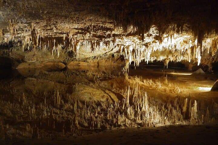 Private Luray Caverns Day Trip from Washington DC — Guided Cave Tour & Shenandoah Stops