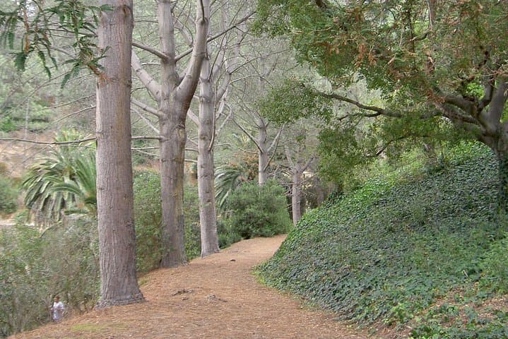 Hidden Nature Walks in San Diego: Private Urban Nature Tour photo 1