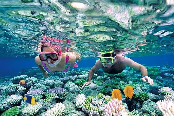Catamaran to Isla Mujeres: Snorkel, Open Bar & Beach Club Day Trip from Cancun photo 4