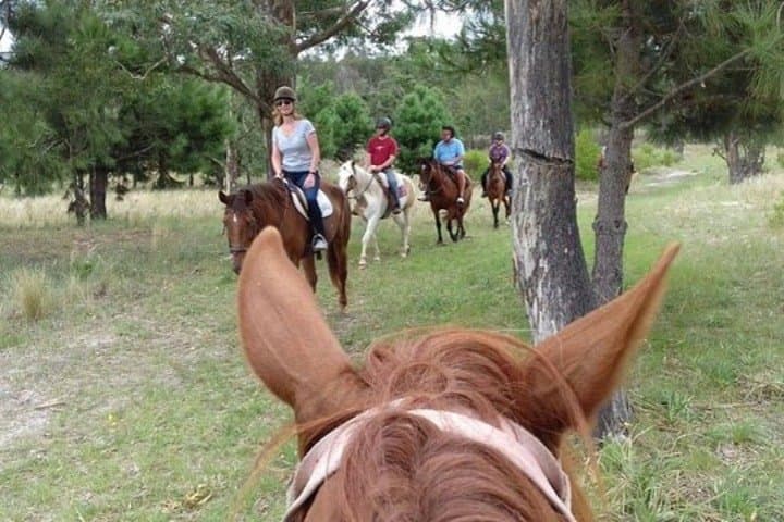 Horseback Riding Near Montevideo: 1.5-Hour Guided Ride Through Prairies & Native Forest photo 2