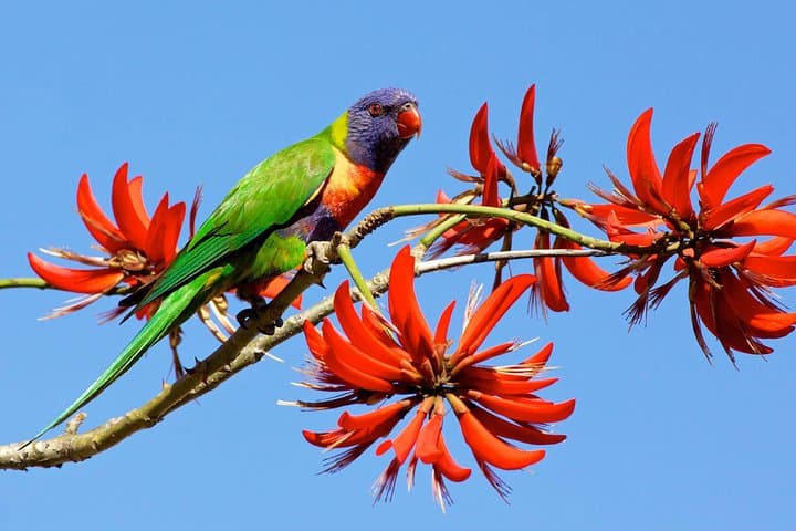 Half-Day Perth & Fremantle Highlights Tour — Kings Park, Swan River & Cottesloe Beach photo 4