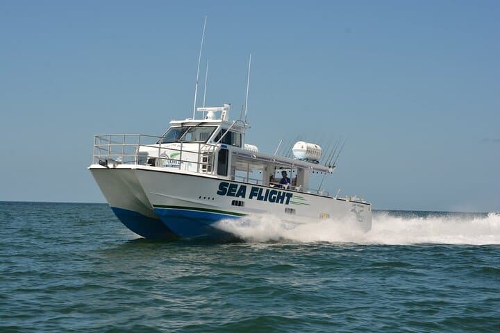 Deep Sea Fishing Eight Hour: Offshore Angling from Naples, FL photo 3