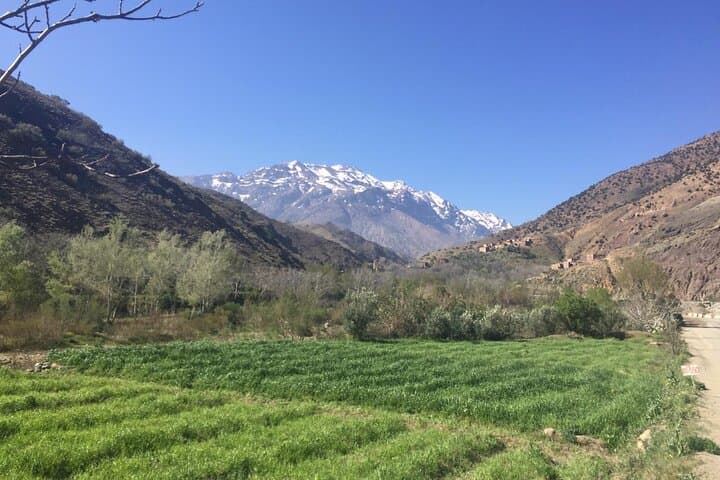 Custom Day Trips from Marrakech: Ouzoud Falls, Essaouira, Ait Ben Haddou & Paradise Valley photo 4