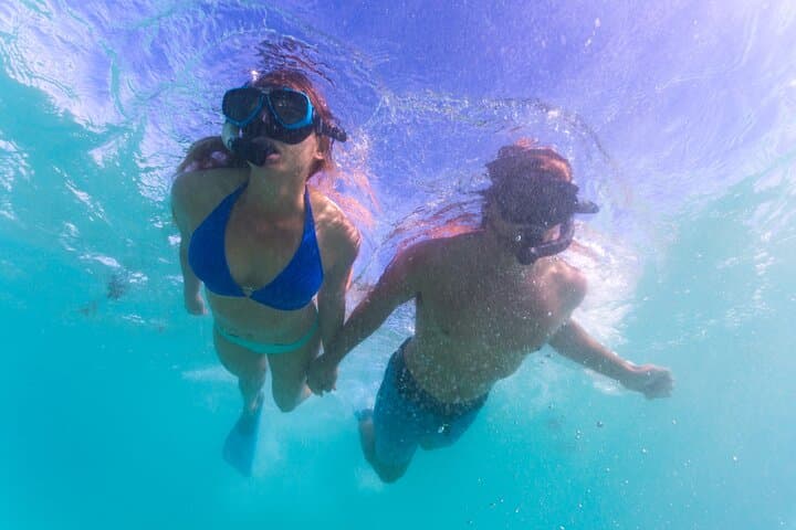 Coral Coaster: 6-Day Perth to Exmouth Adventure through Pinnacles, Monkey Mia & Ningaloo