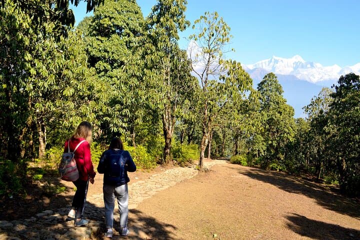 Australian Camp & Dhampus Day Hike from Pokhara — Annapurna Sunrise Views photo 3