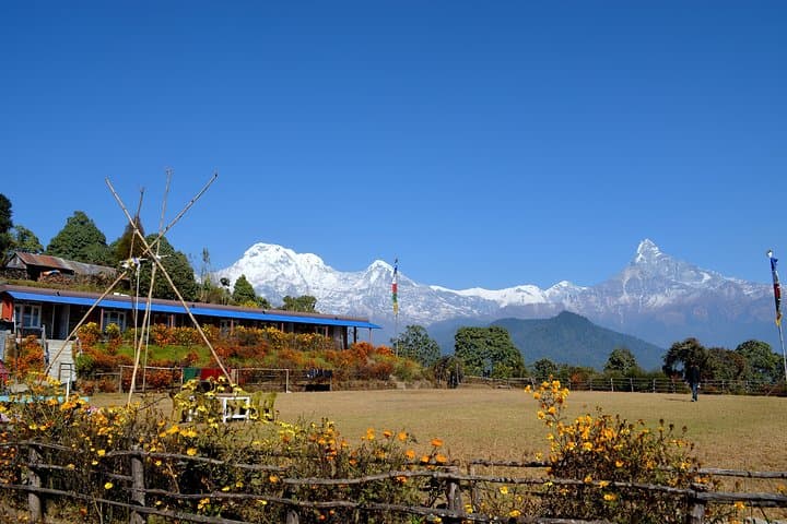 Australian Camp & Dhampus Day Hike from Pokhara — Annapurna Sunrise Views photo 4
