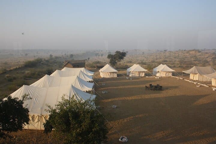 Camel Safari in the Thar: High Tea & Folk Music Near Bikaner photo 3
