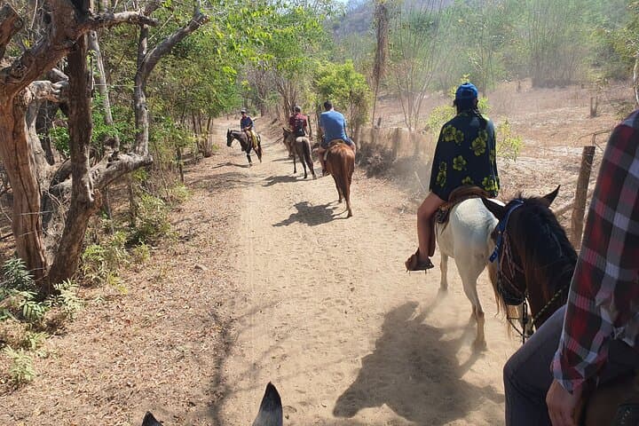 Sunset Horseback Ride to Hot Springs near Puerto Escondido photo 2