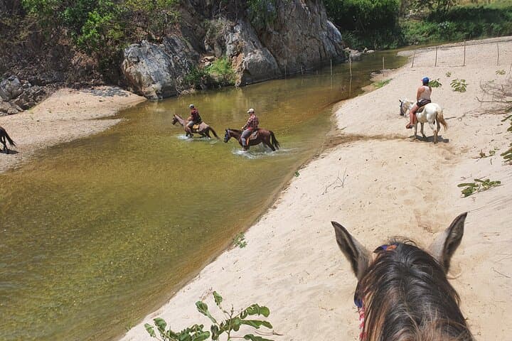 Sunset Horseback Ride to Hot Springs near Puerto Escondido photo 3