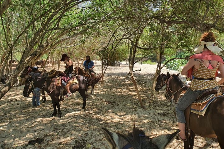 Sunset Horseback Ride to Hot Springs near Puerto Escondido photo 4