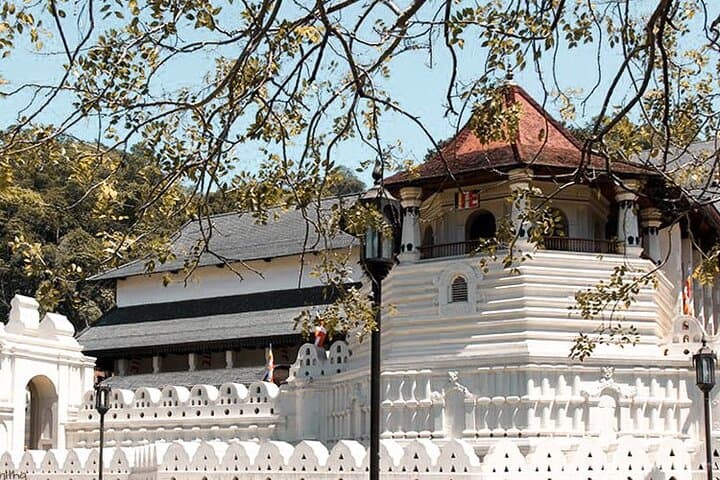 Culture of the Hills: 2-Day Kandy & Pinnawala Private Tour from Colombo photo 3