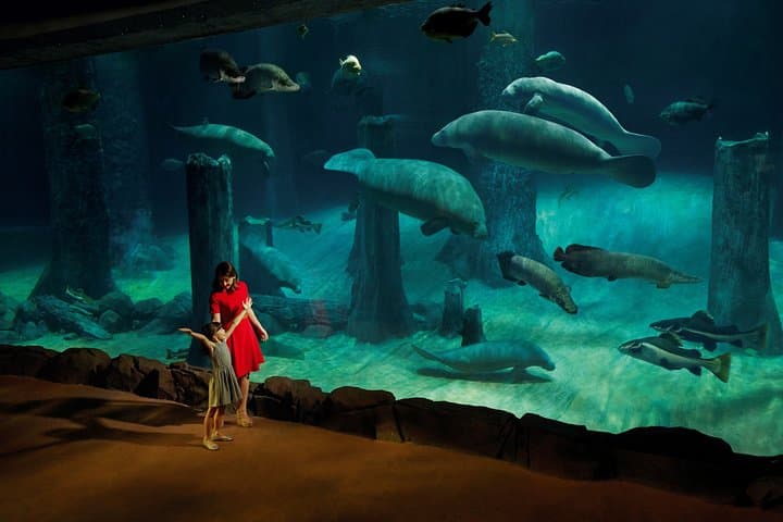 River Wonders Singapore: Complete River Safari & Giant Panda Forest Guide