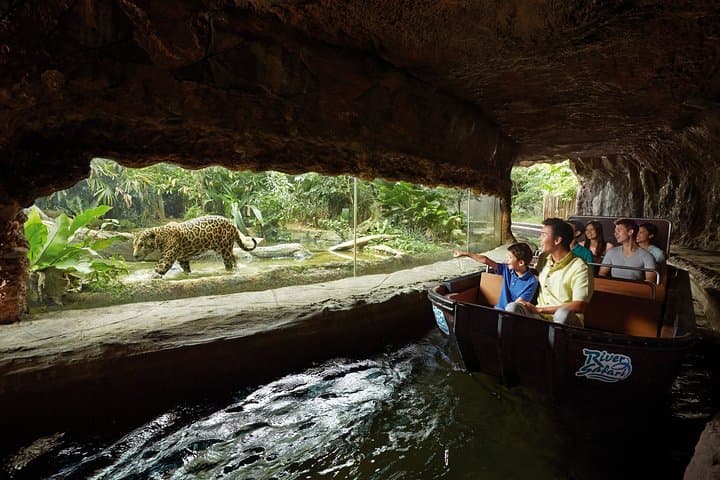 River Wonders Singapore: Complete River Safari & Giant Panda Forest Guide photo 3