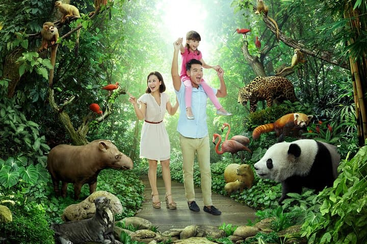 River Wonders Singapore: Complete River Safari & Giant Panda Forest Guide photo 2