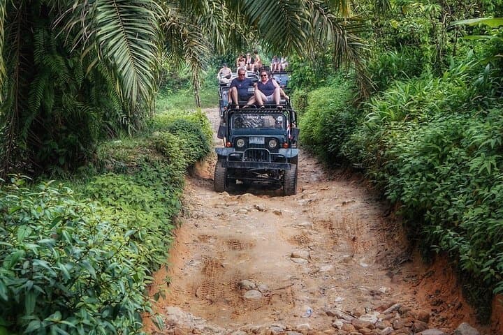 Koh Samui 4WD Jeep Safari: Namuang Waterfall, Magic Garden & Big Buddha photo 3
