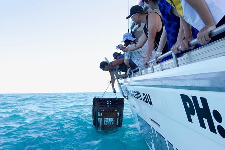 Kalbarri Rock Lobster Pot Pull Tour — Hands-On Lobster Fishing at Murchison River Mouth photo 2