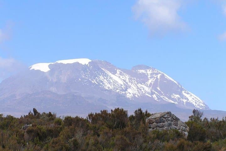 8-Day Lemosho Route Kilimanjaro Climb from Arusha — Guided Summit to Uhuru Peak photo 6
