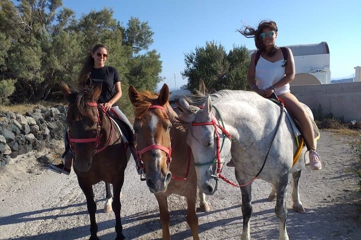 Santorini Horse Riding: Explore Secret Thera from Megalochori photo 2
