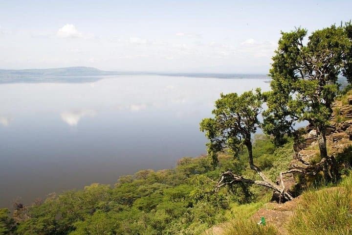 Paddling Lake Duluti: Private Arusha Crater Lake Canoe Tour with Lunch photo 2