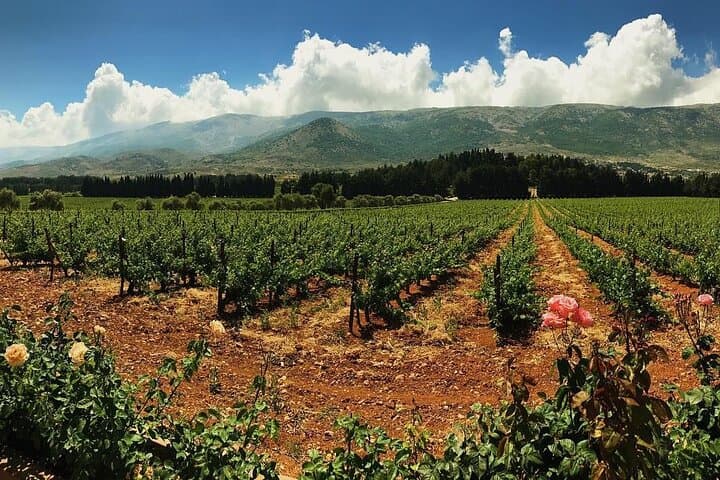 6-Day Lebanon Private Tour: Jeita, Byblos, Cedars & Baalbek photo 3