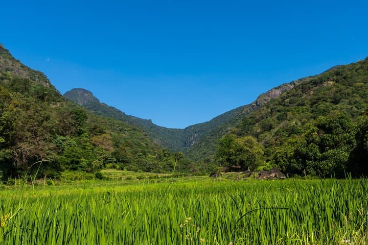 Camping in Meemure: 3-Day Village Camping, Hikes & Waterfalls near Knuckles Range photo 4