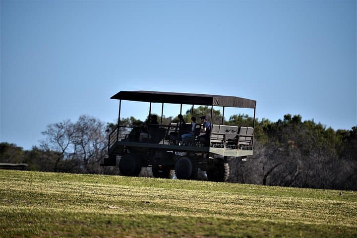 West Coast Private Safari from Cape Town — Buffelsfontein, Darling & Yzerfontein Day Tour photo 2