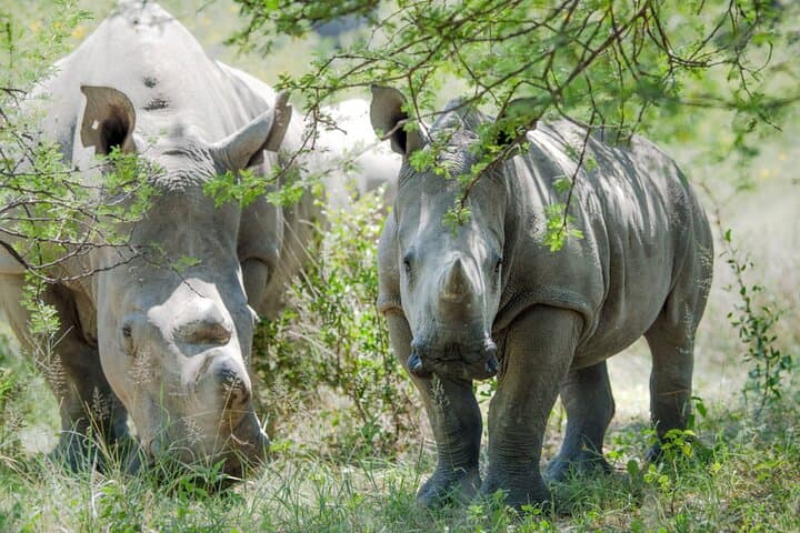 Victoria Falls to Nakavango: Guided Falls, Village Visit & Night Game Drive with Bush Dinner