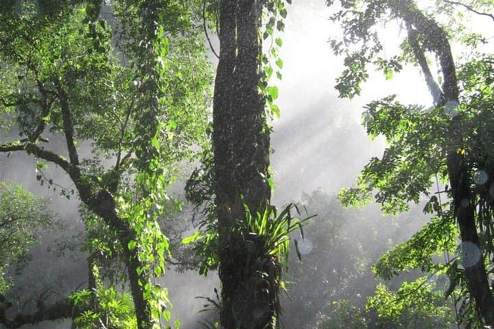 Day Trip to Agua Azul and Misol-Ha Waterfalls from San Cristobal photo 4