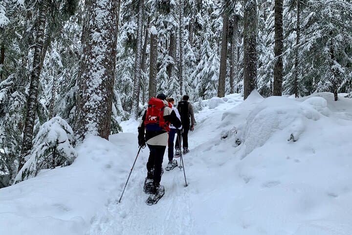 Whistler Lost Lake Snowshoeing & Village Tour — Day Trip from Vancouver