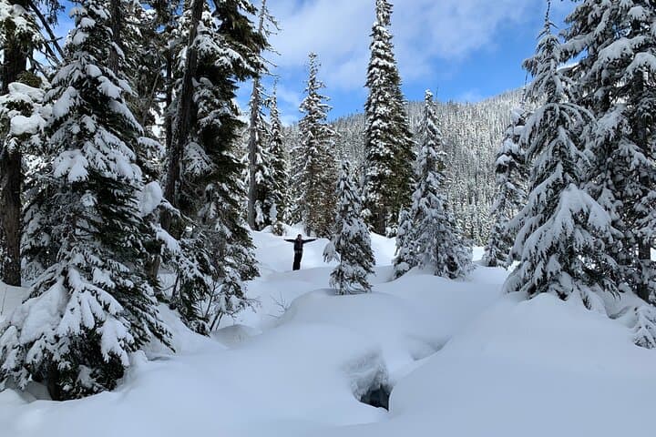 Whistler Lost Lake Snowshoeing & Village Tour — Day Trip from Vancouver photo 3
