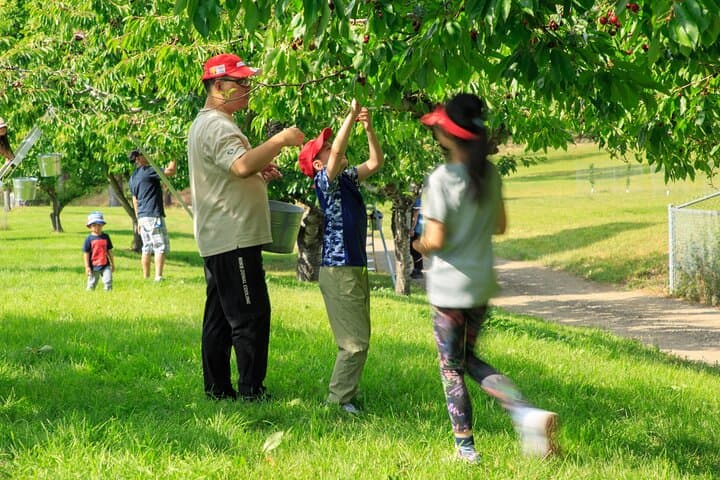 Okanagan 2-Day Wine, Cherry-Picking & KVR Bike Tour from Vancouver photo 2