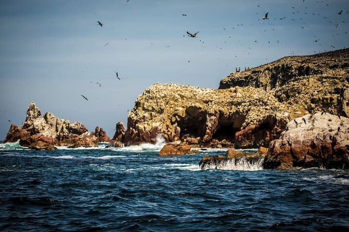 Exploring Paracas National Reserve: Wind‑Carved Cliffs, Wildlife & Pre‑Inca Sites