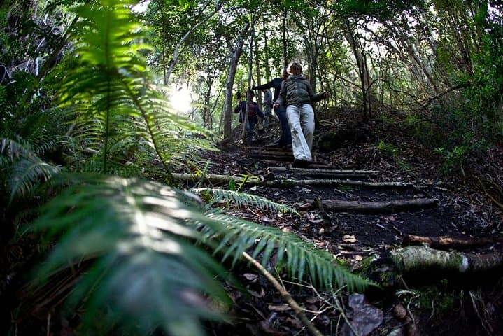 3-Day Fynbos Trail: Guided Hiking in The Overberg from Cape Town