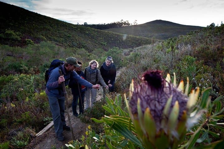 3-Day Fynbos Trail: Guided Hiking in The Overberg from Cape Town photo 2