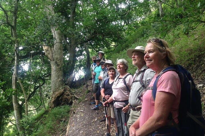 3-Day Fynbos Trail: Guided Hiking in The Overberg from Cape Town photo 5
