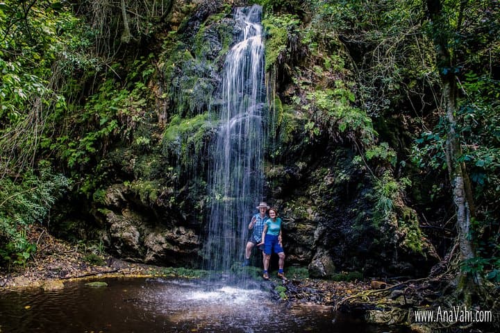 3-Day Fynbos Trail: Guided Hiking in The Overberg from Cape Town photo 6