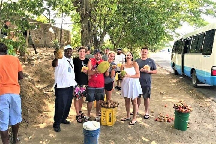 Taste of Jamaica Food Tour from Ocho Rios: Fern Gully, Fruit Stands & Jerk Lunch photo 4