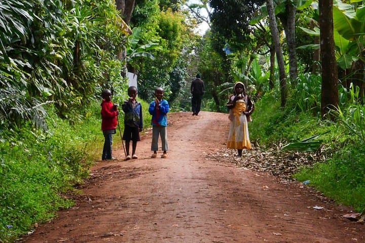 Materuni Waterfall E-Bike Day Trip: Kilimanjaro Foothills Cycling & Coffee Tour photo 2