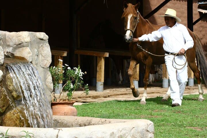 Half-Day Horseback Ride in Urubamba's Pumahuanca & Palcaraqui Communities photo 2