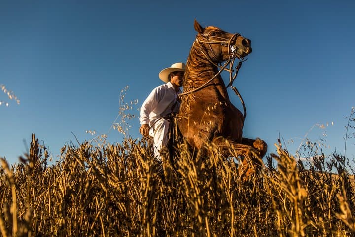 Half-Day Horseback Ride in Urubamba's Pumahuanca & Palcaraqui Communities photo 4