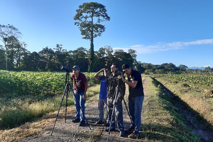 Private Arenal Birdwatching Experience at Arenal Observatory Lodge