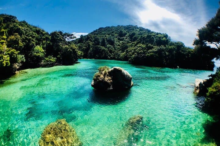 Abel Tasman Tonga Island Marine Reserve: Full-Day Guided Sea Kayak Adventure photo 3