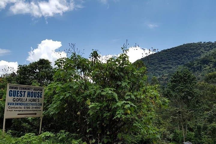 5-Day Gorilla and Chimpanzee Safari: Private Tour to Bwindi & Kibale from Kampala photo 4