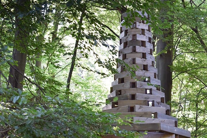 Capriasca Redde Wood Photo Tour: Redde Tower, Art Installations & Low-Light Techniques photo 2