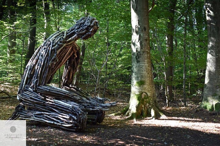 Capriasca Redde Wood Photo Tour: Redde Tower, Art Installations & Low-Light Techniques photo 3
