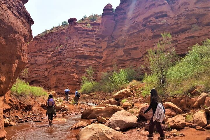 Customize Your Moab Adventure: Private Full Day Tour and Hike Combo photo 3